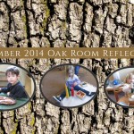 201412 Oak Room Reflections
